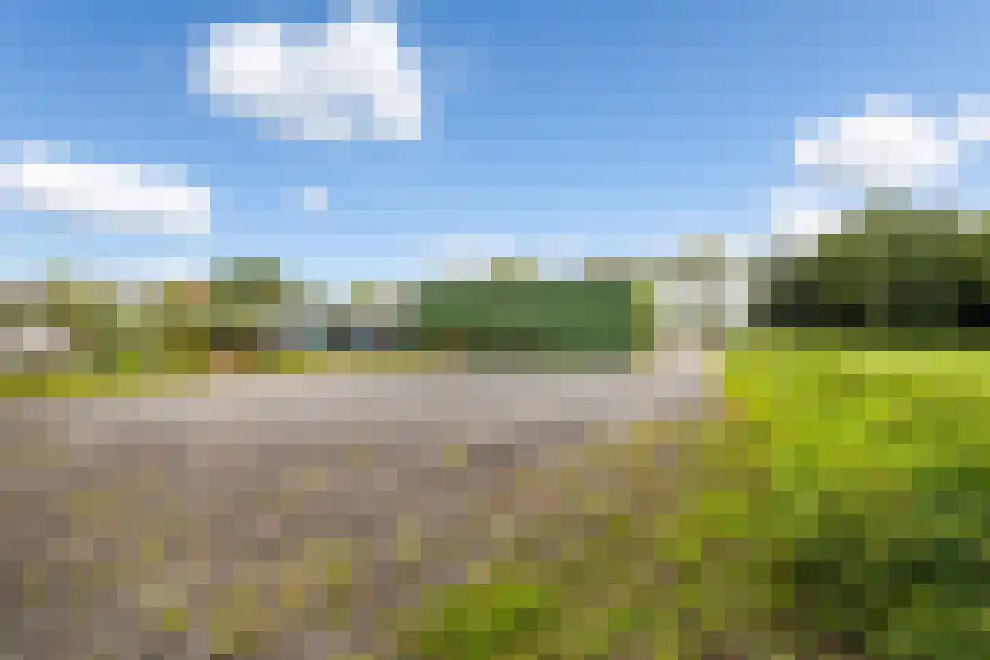 Lakerveld 183 Lexmond thumbnail 69