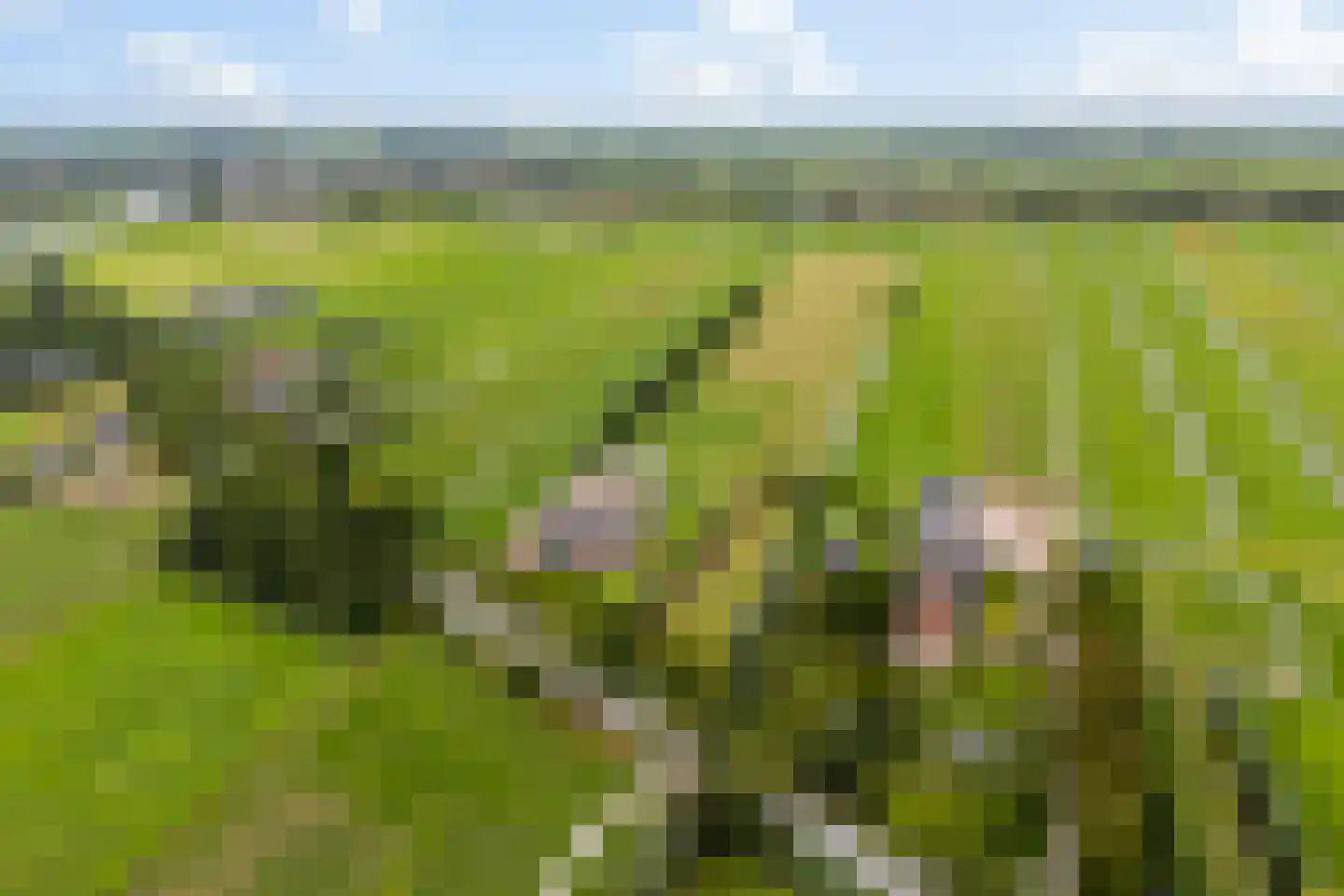 Lakerveld 183 Lexmond thumbnail 71