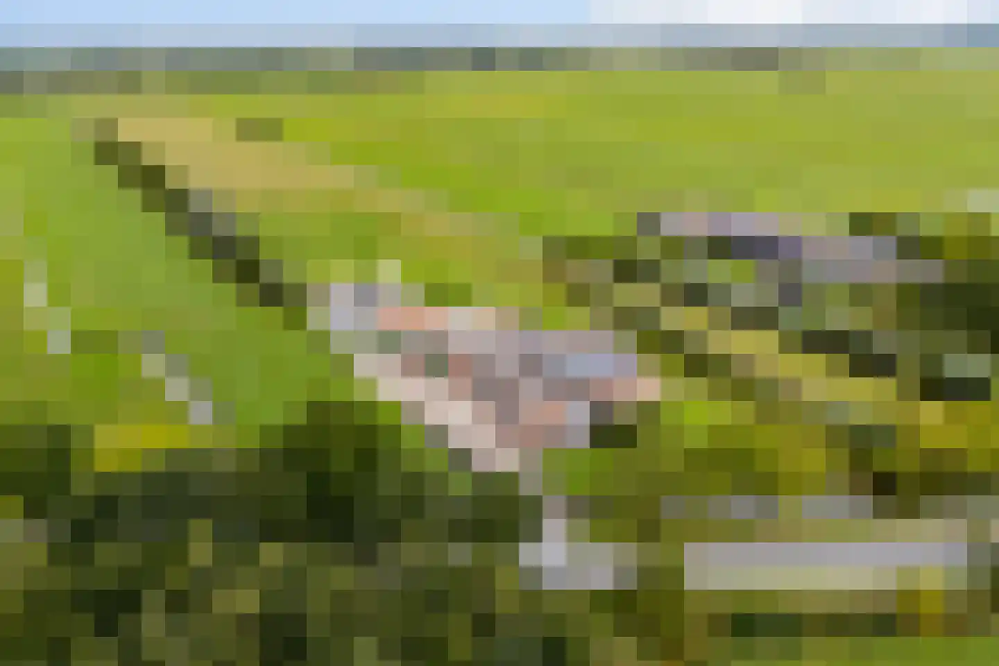 Lakerveld 183 Lexmond thumbnail 73