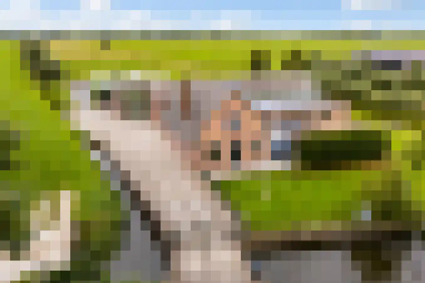 Lakerveld 183 Lexmond thumbnail 74