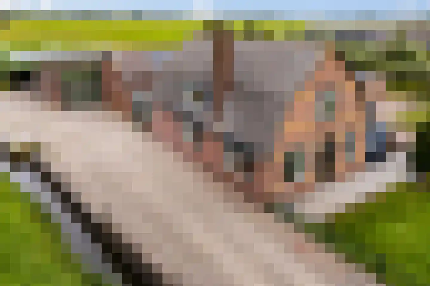 Lakerveld 183 Lexmond thumbnail 75