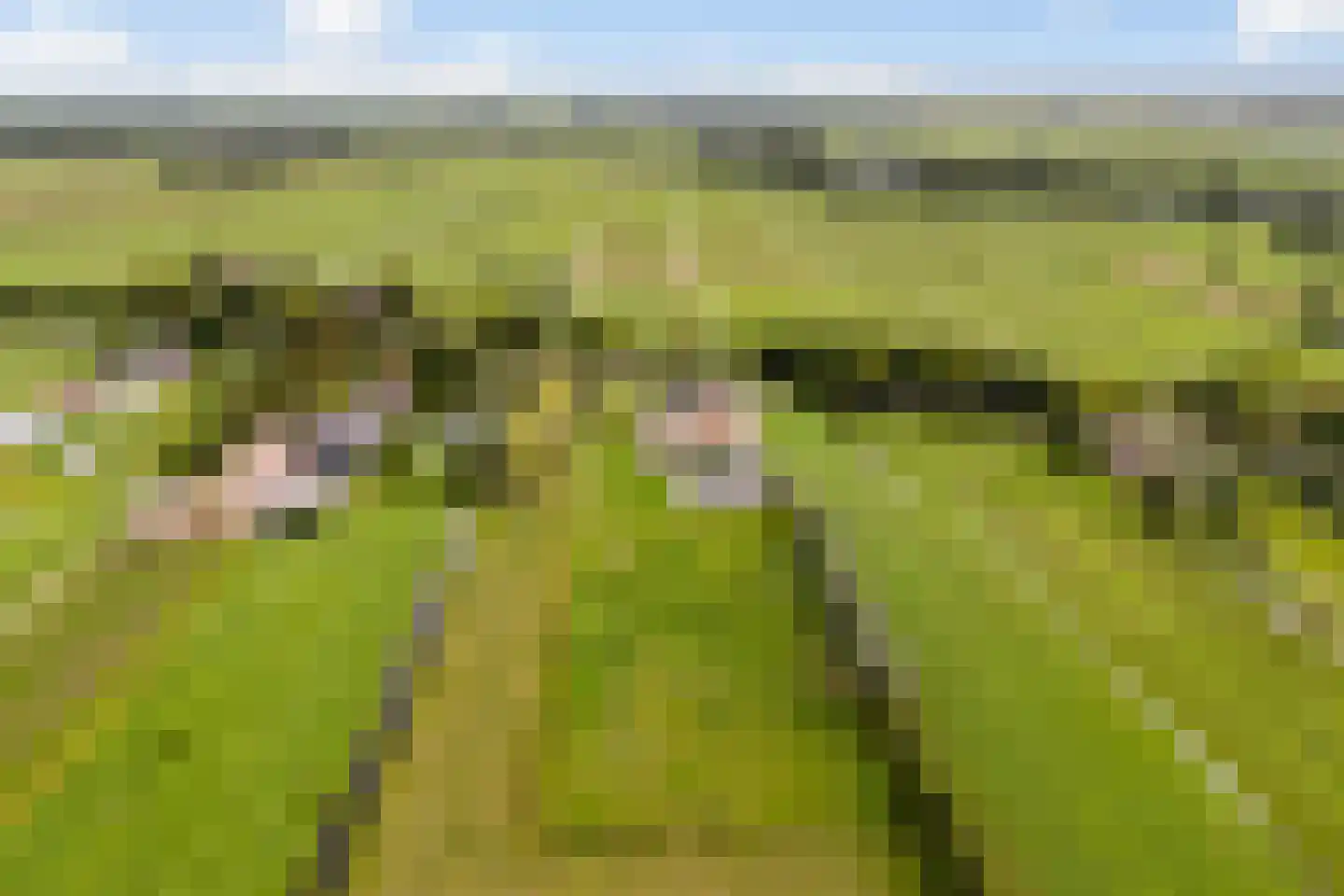 Lakerveld 183 Lexmond thumbnail 76