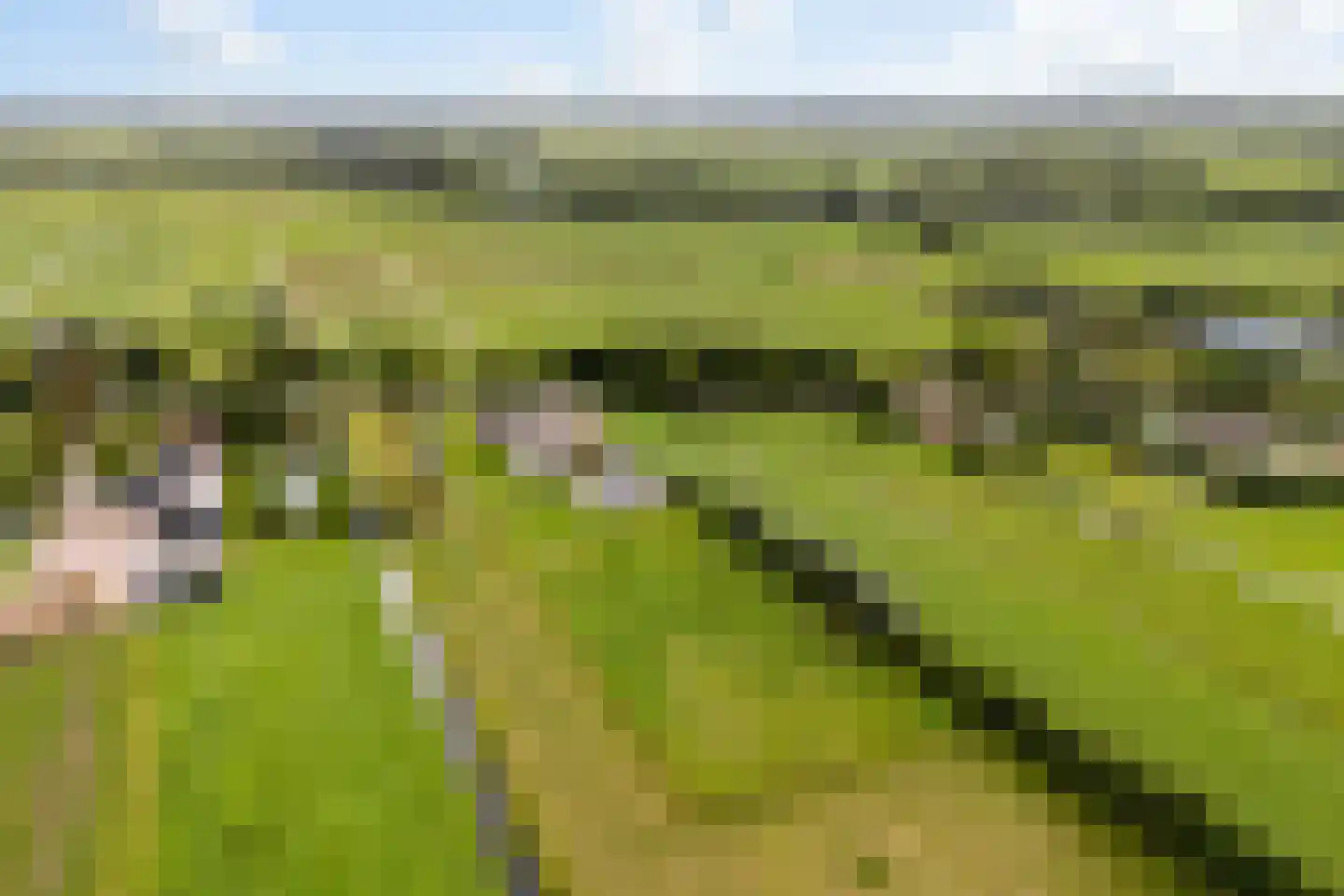 Lakerveld 183 Lexmond thumbnail 77
