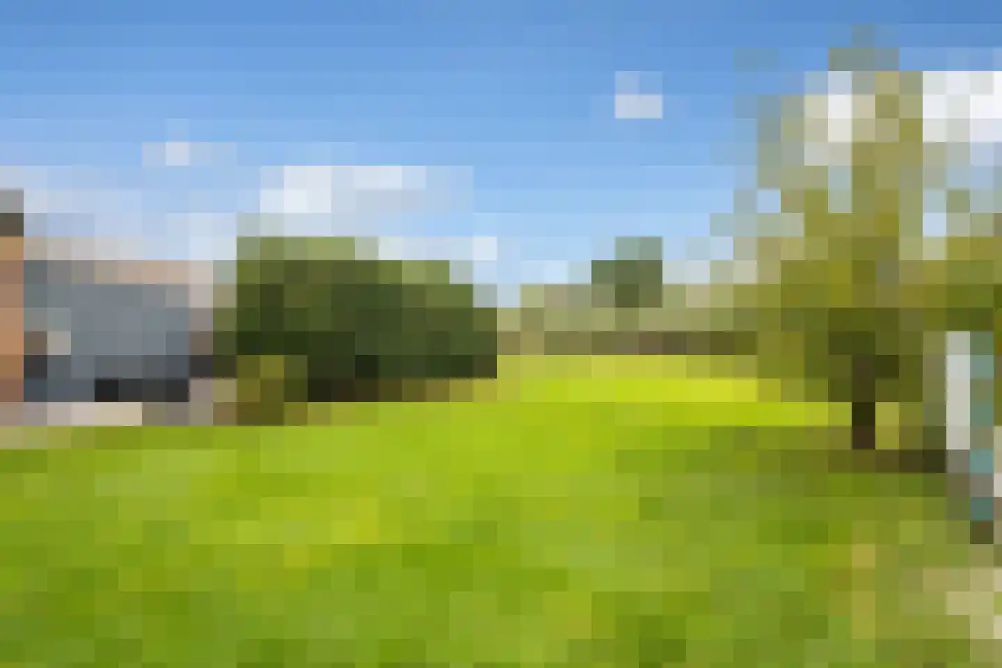 Lakerveld 183 Lexmond thumbnail 8