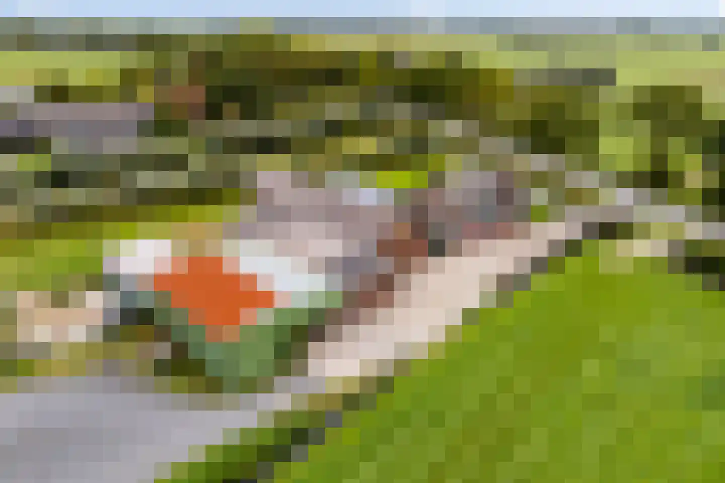 Lakerveld 183 Lexmond thumbnail 82