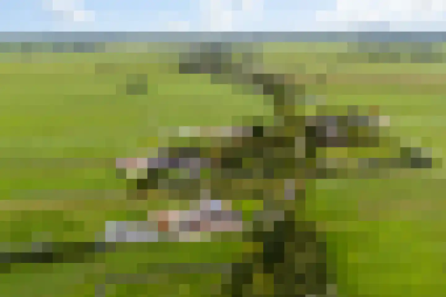 Lakerveld 183 Lexmond thumbnail 83