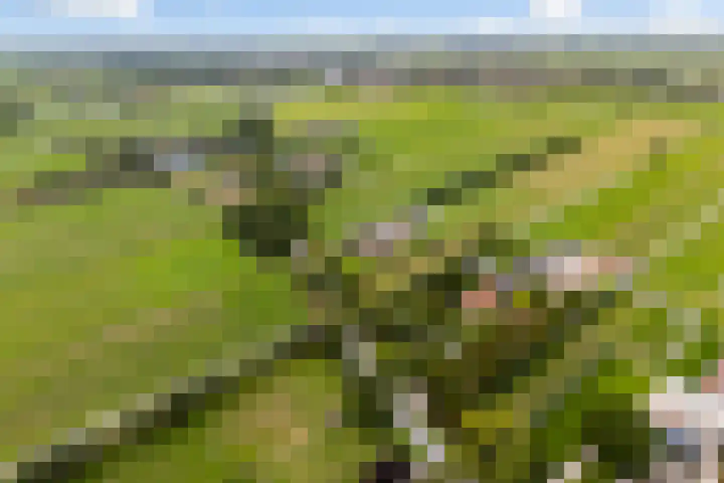 Lakerveld 183 Lexmond thumbnail 84