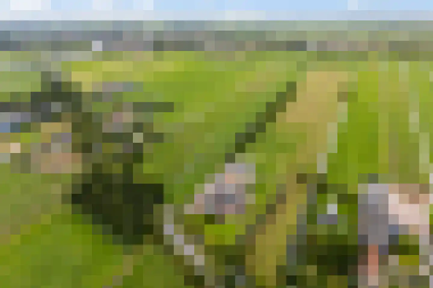Lakerveld 183 Lexmond thumbnail 85