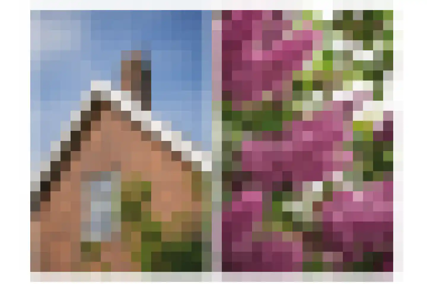 Lakerveld 97 Lexmond thumbnail 29