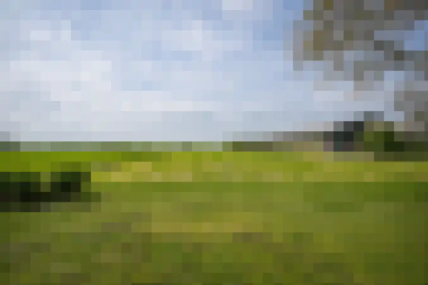 Lakerveld 97 Lexmond thumbnail 33