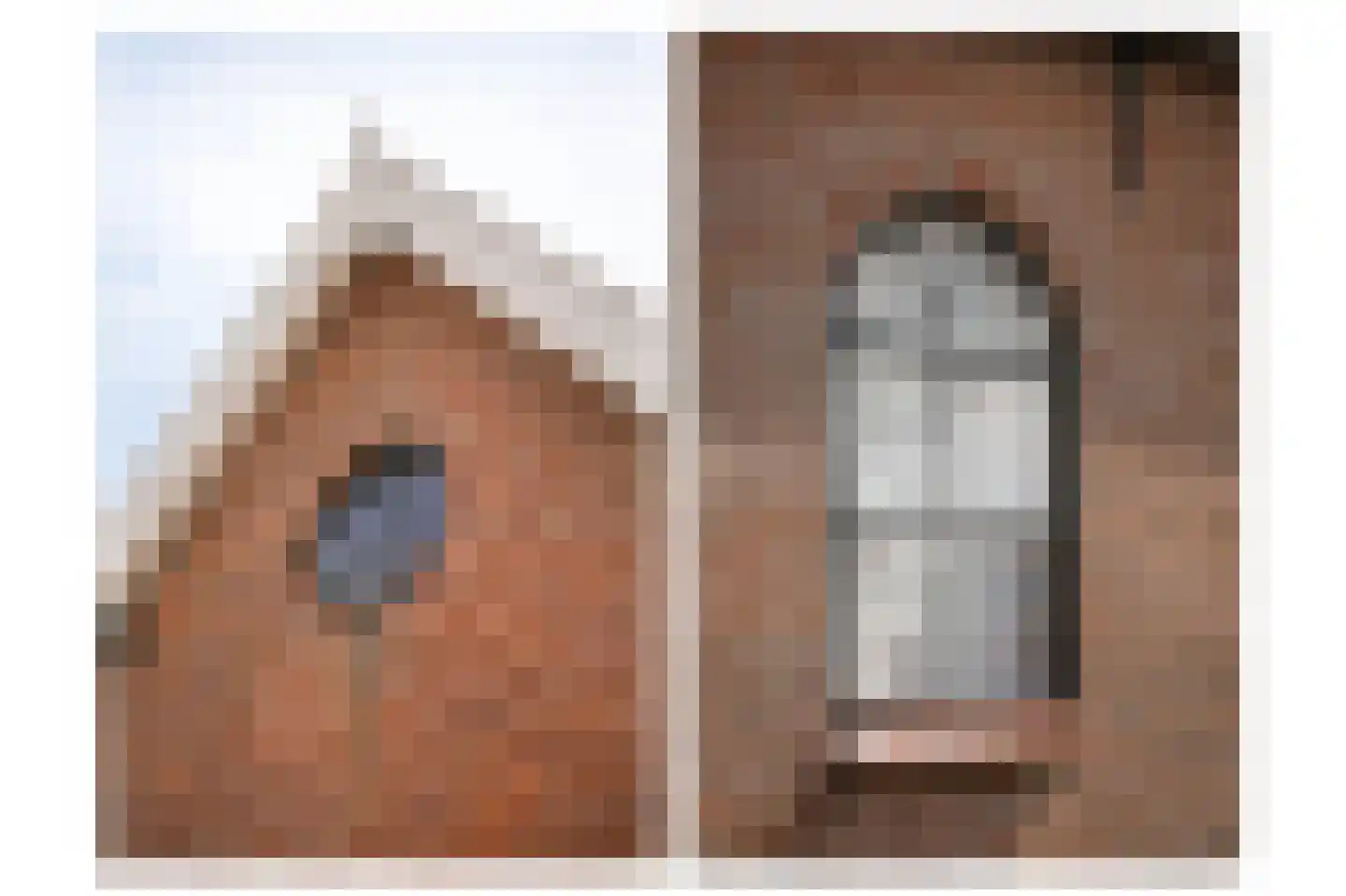 Lakerveld 97 Lexmond thumbnail 36