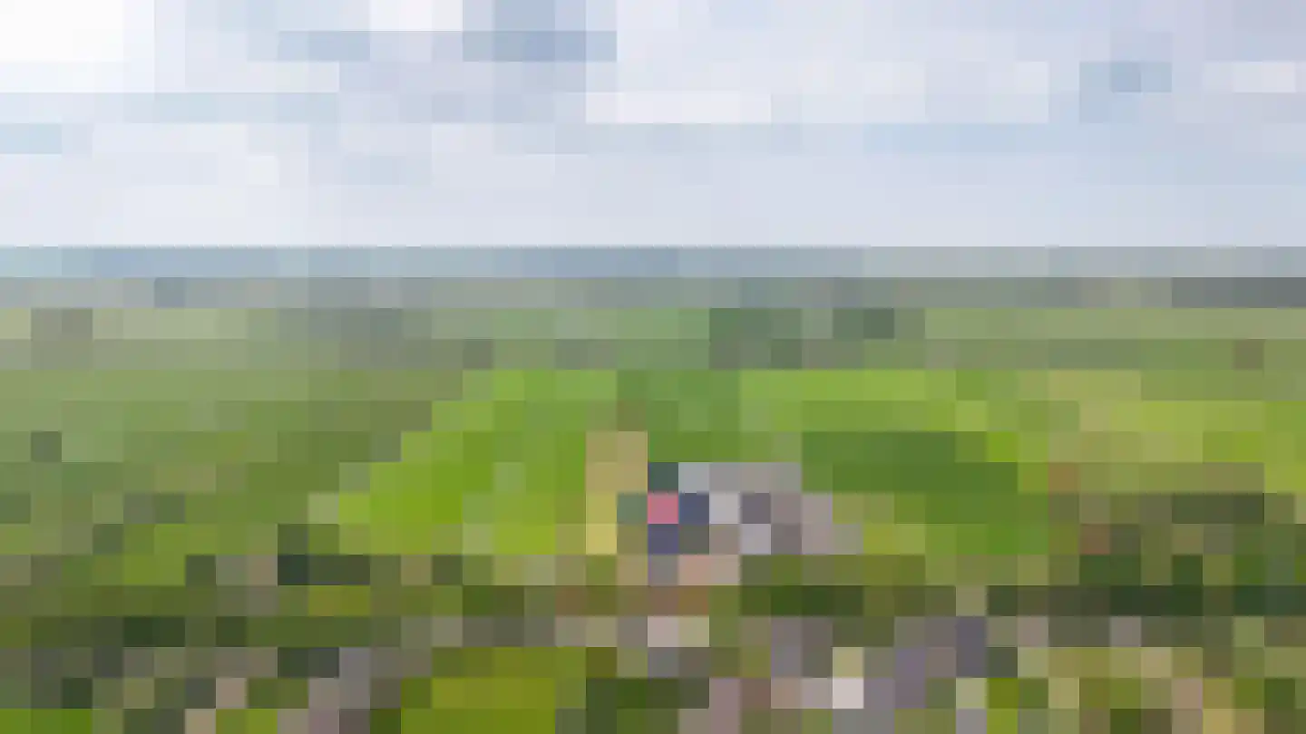 Lakerveld 97 Lexmond thumbnail 47