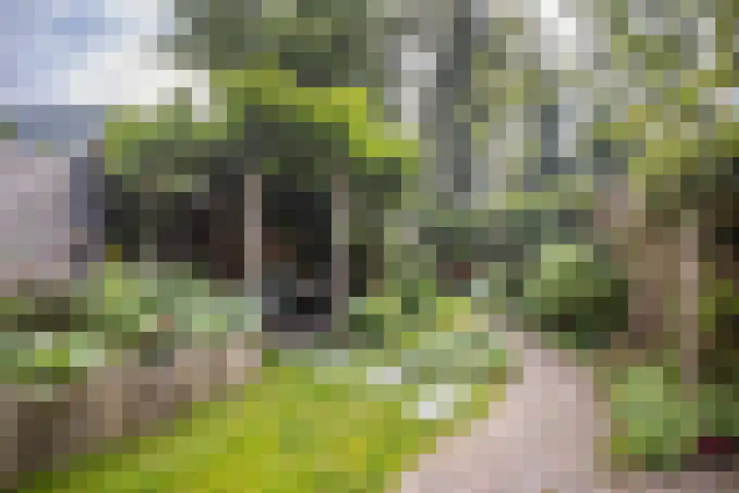 Lakkerij 19 Ede thumbnail 45