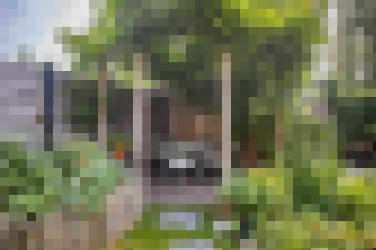Lakkerij 19 Ede thumbnail 47