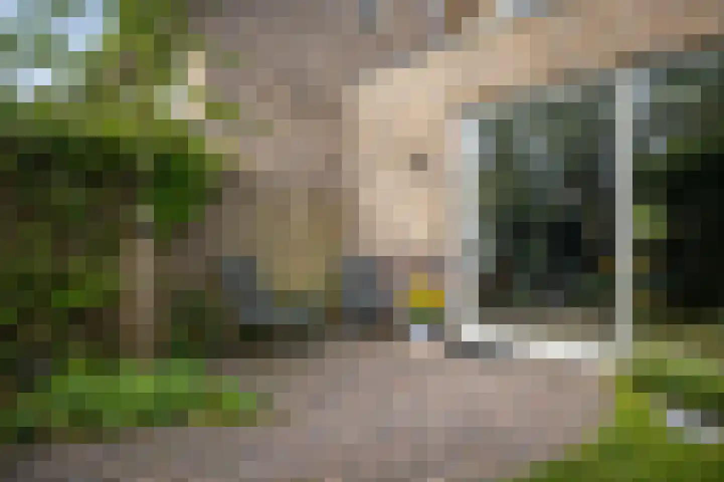 Lakkerij 19 Ede thumbnail 48