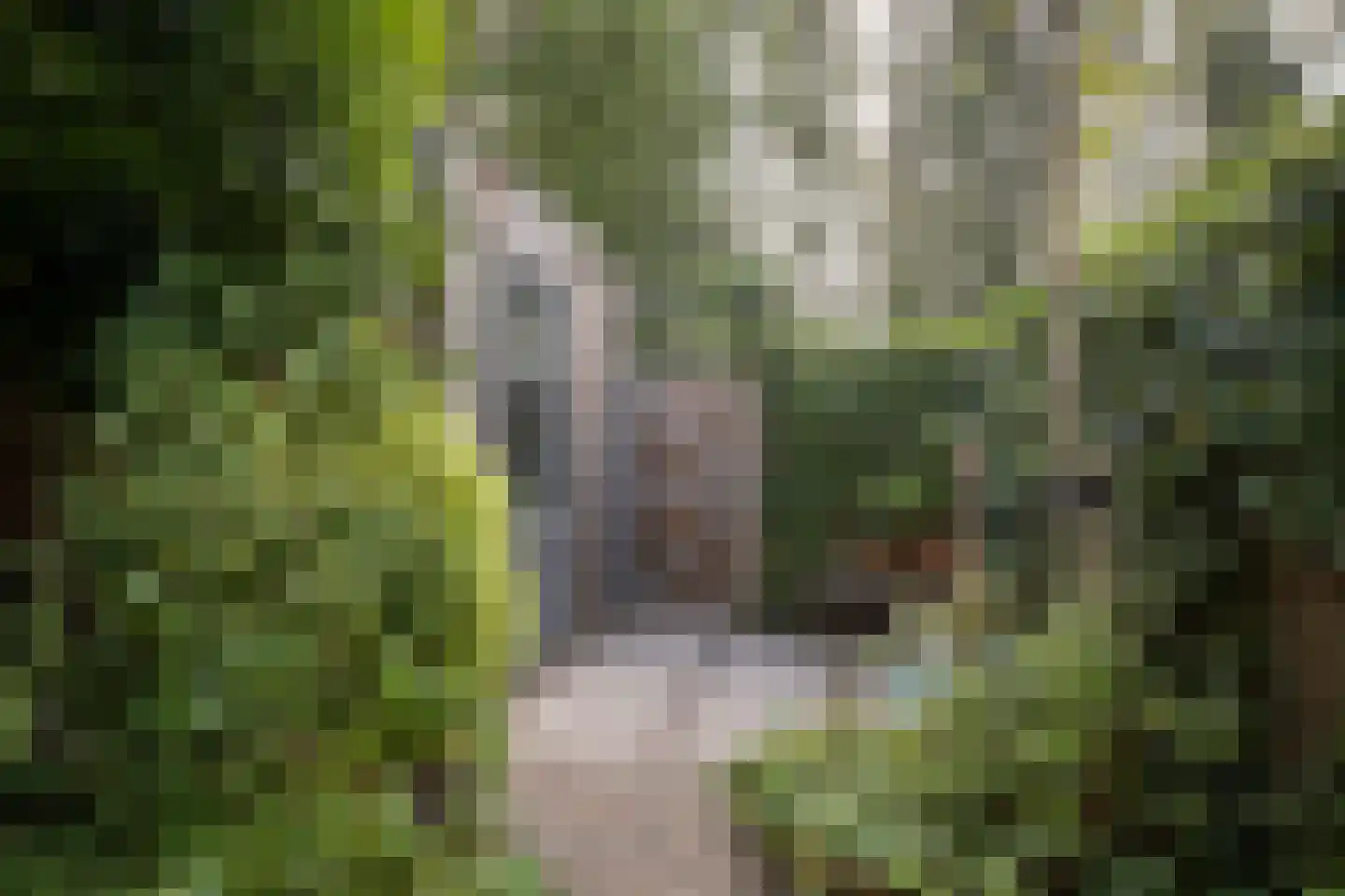 Lakkerij 19 Ede thumbnail 50