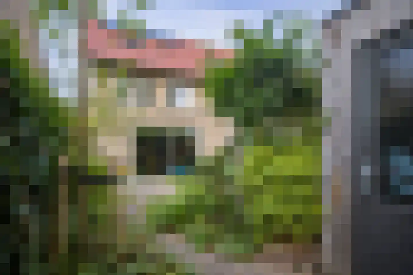 Lakkerij 19 Ede thumbnail 52