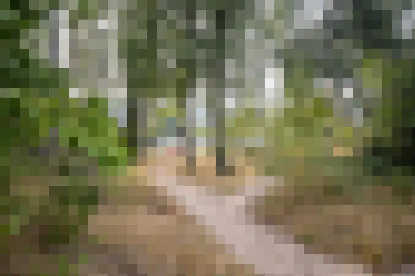 Lakkerij 19 Ede thumbnail 61
