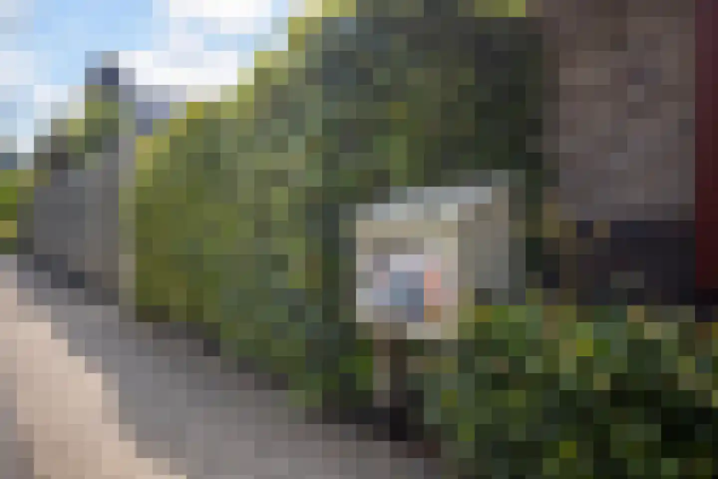 Lakkerij 19 Ede thumbnail 62