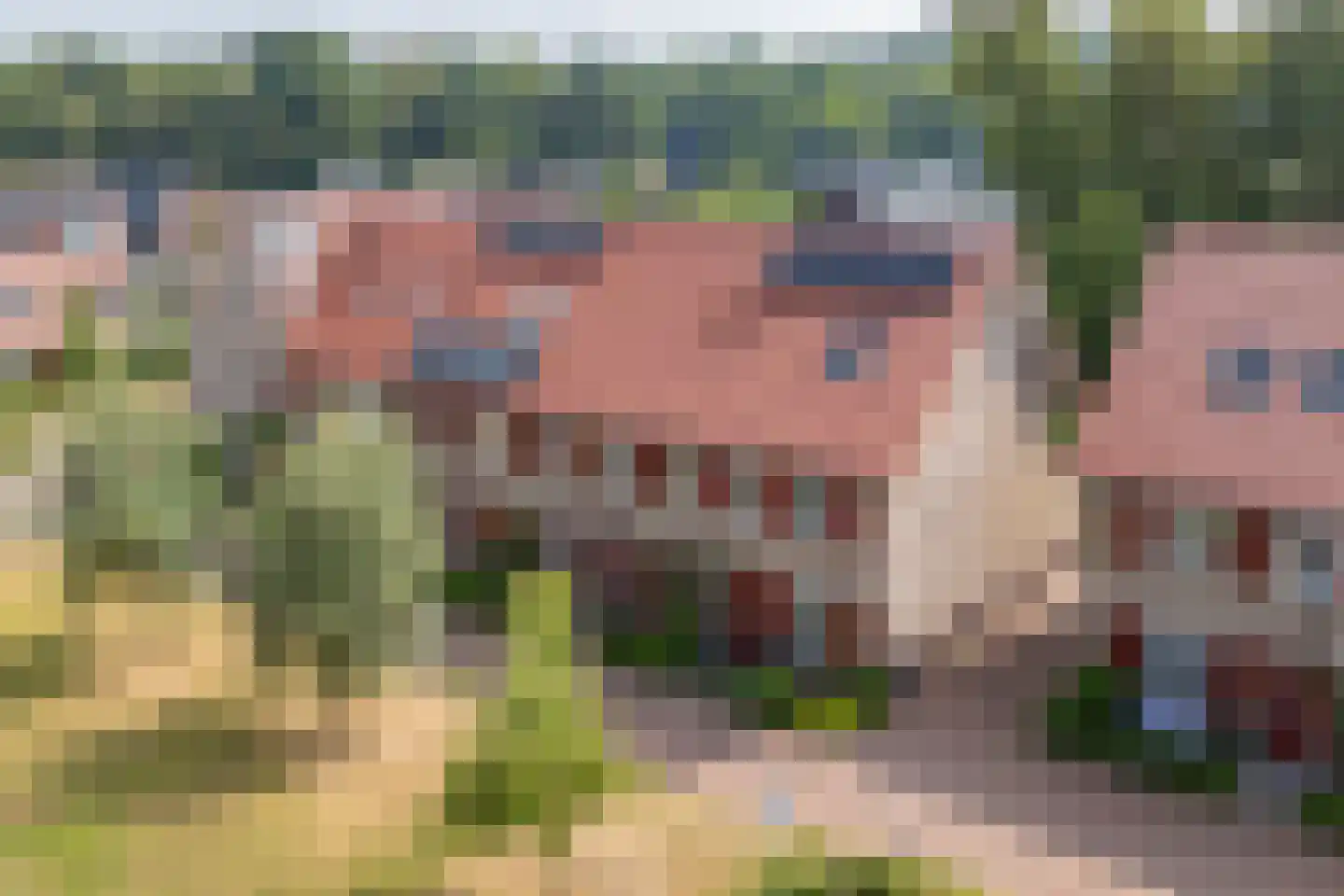 Lakkerij 19 Ede thumbnail 69