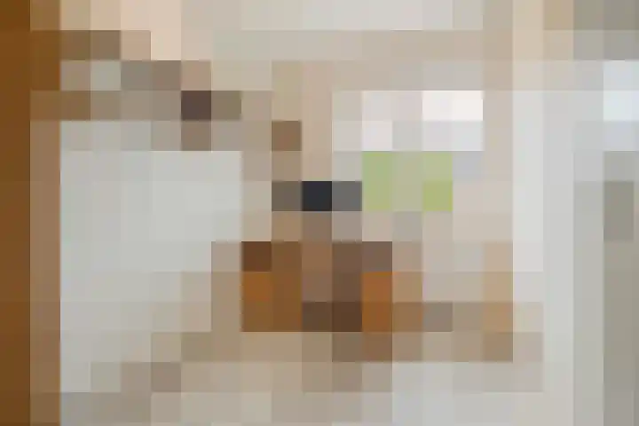Lakkerij 47 Ede thumbnail 19
