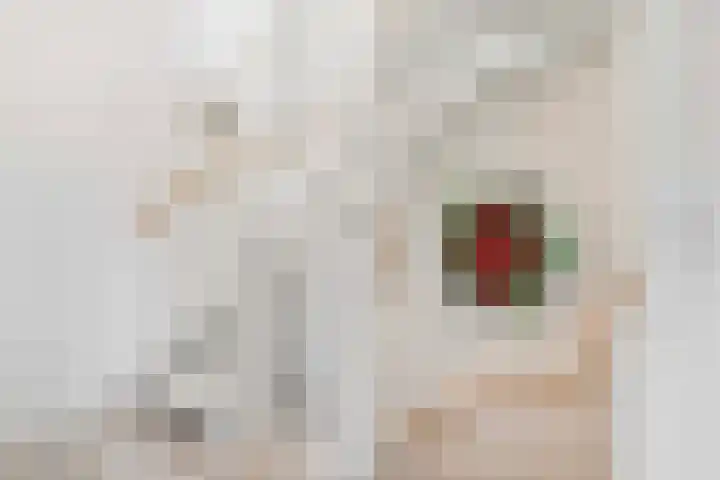 Lakkerij 47 Ede thumbnail 21
