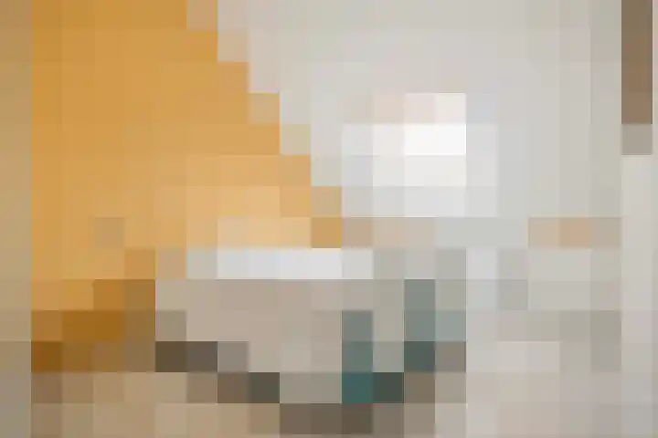 Lakkerij 47 Ede thumbnail 23