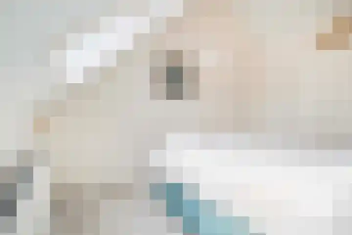 Lakkerij 47 Ede thumbnail 24
