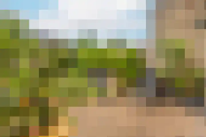Lakkerij 47 Ede thumbnail 27
