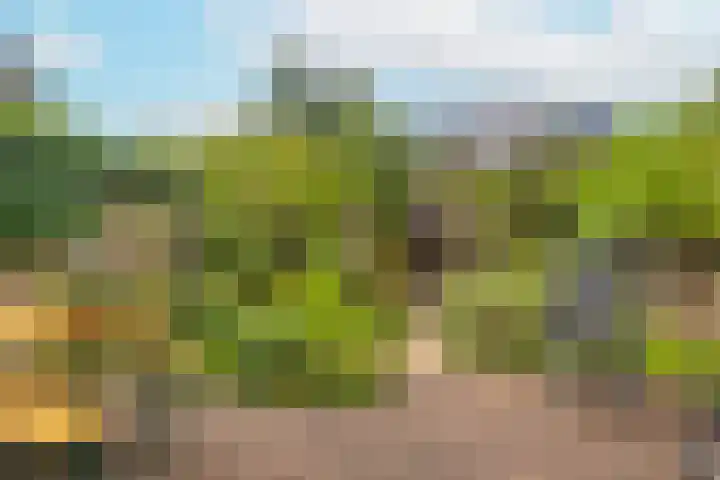 Lakkerij 47 Ede thumbnail 28