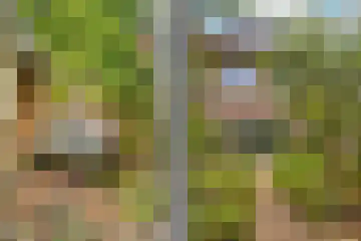 Lakkerij 47 Ede thumbnail 29