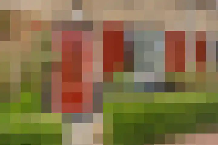 Lakkerij 47 Ede thumbnail 30