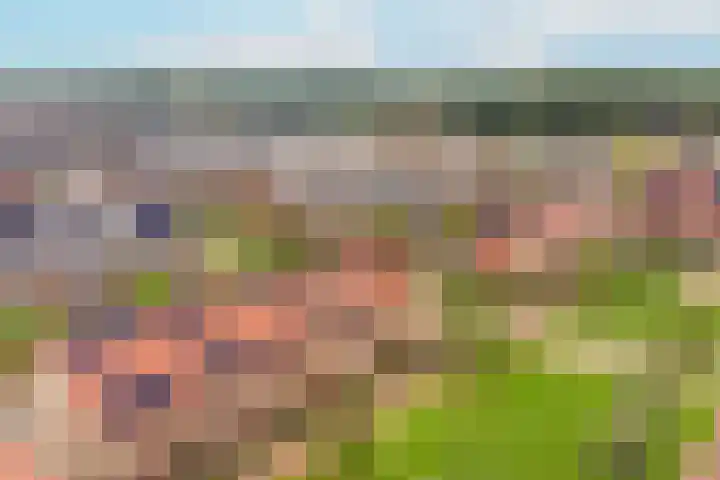 Lakkerij 47 Ede thumbnail 31