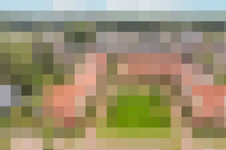 Lakkerij 47 Ede thumbnail 32