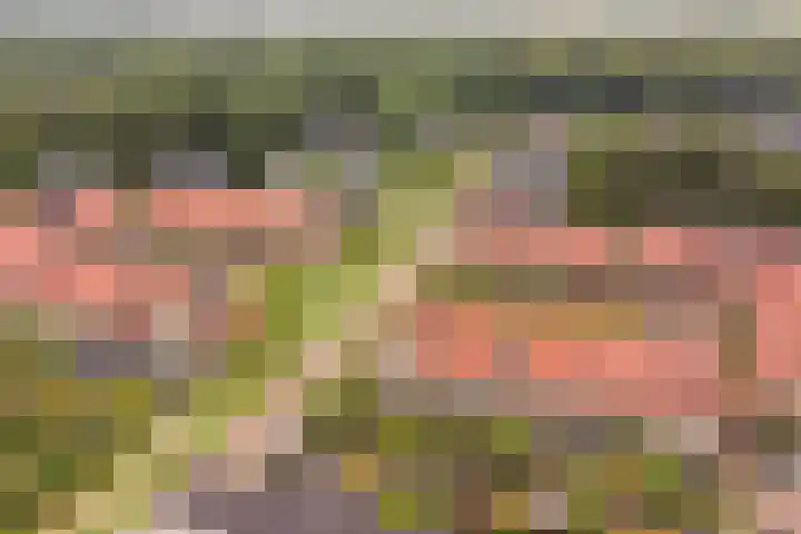 Lakkerij 47 Ede thumbnail 33