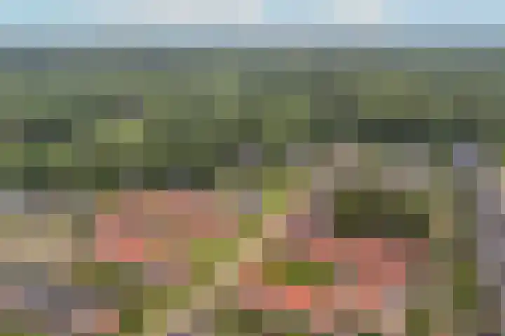 Lakkerij 47 Ede thumbnail 34