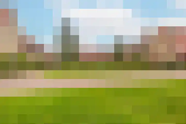 Lakkerij 47 Ede thumbnail 35