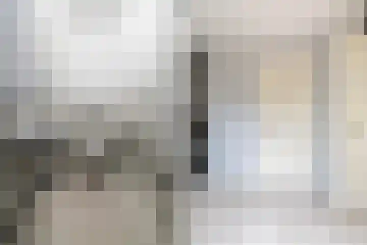 Lakkerskamp 3 Eibergen thumbnail 12
