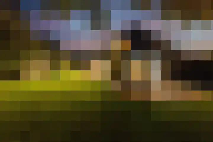 Lakkerskamp 3 Eibergen thumbnail 44