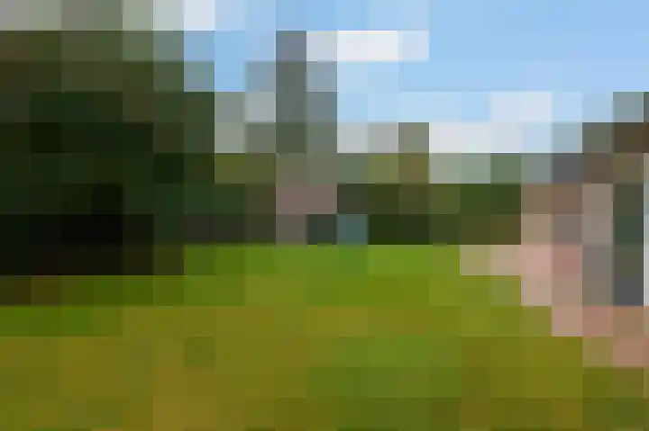 Lakkerskamp 3 Eibergen thumbnail 47