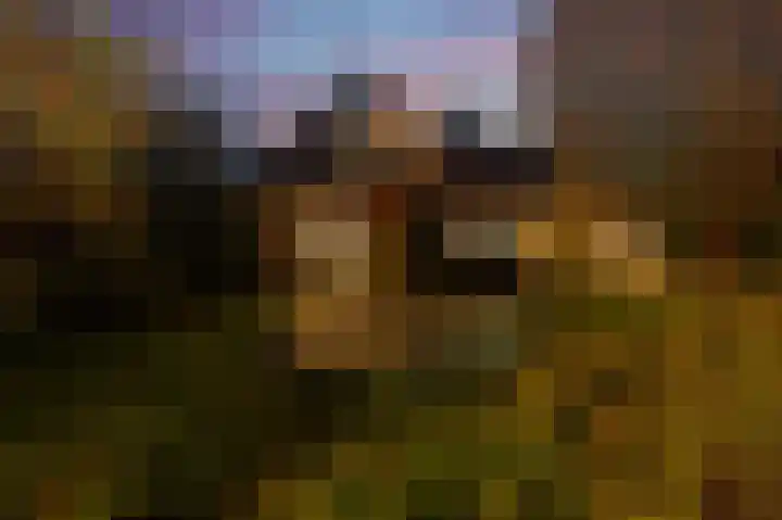 Lakkerskamp 3 Eibergen thumbnail 5