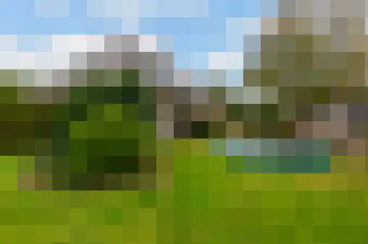 Lakkerskamp 3 Eibergen thumbnail 50