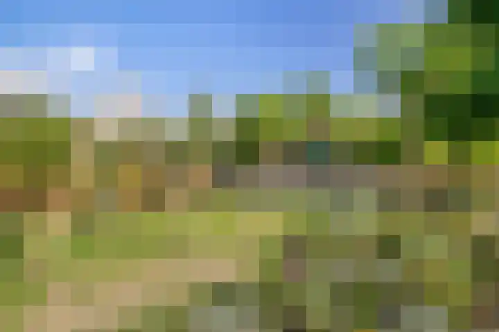 Lakkerskamp 3 Eibergen thumbnail 52