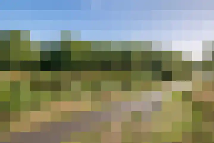 Lakkerskamp 3 Eibergen thumbnail 53