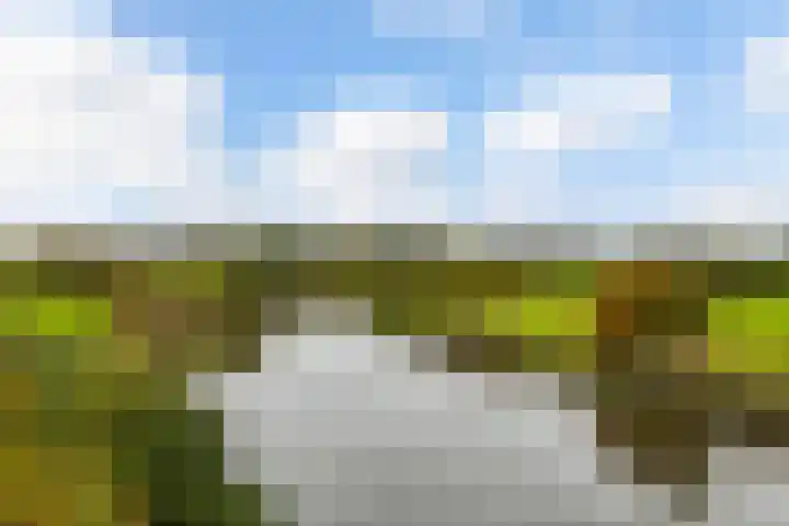 Lakkerskamp 3 Eibergen thumbnail 54