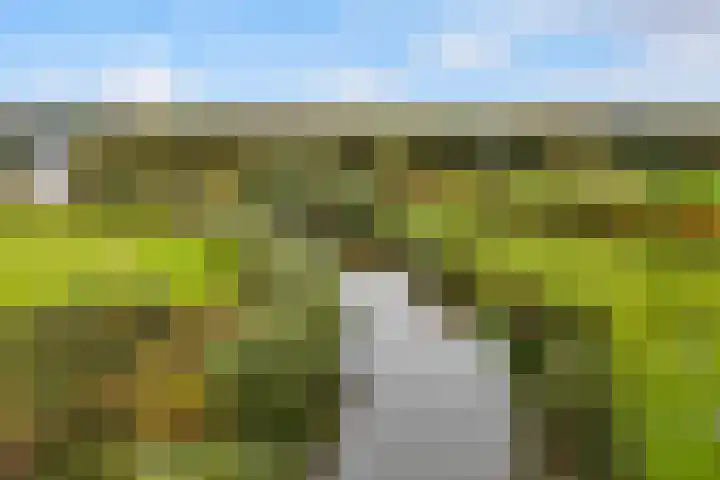 Lakkerskamp 3 Eibergen thumbnail 55