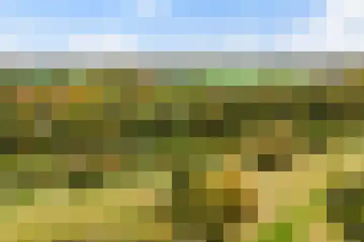 Lakkerskamp 3 Eibergen thumbnail 56