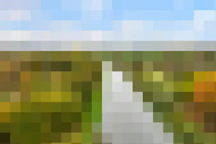 Lakkerskamp 3 Eibergen thumbnail 57