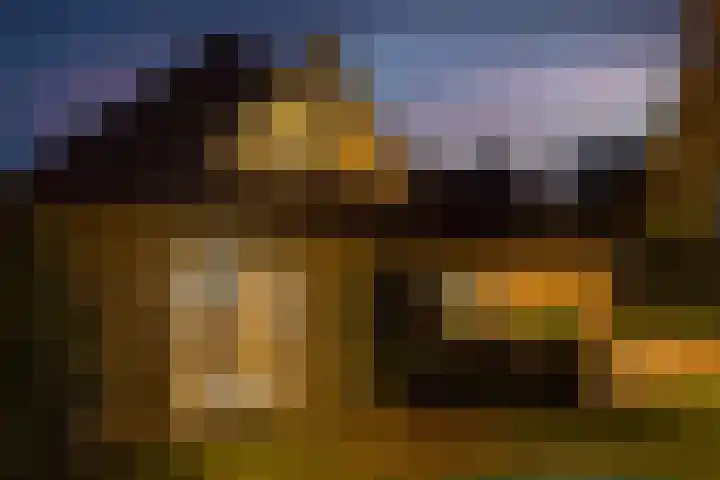 Lakkerskamp 3 Eibergen thumbnail 6