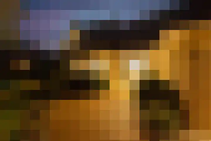 Lakkerskamp 3 Eibergen thumbnail 7